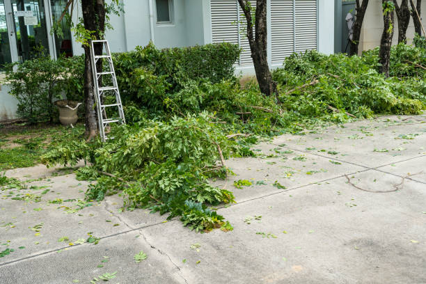 Why Choose Our Tree Removal Services in Bath, MI?